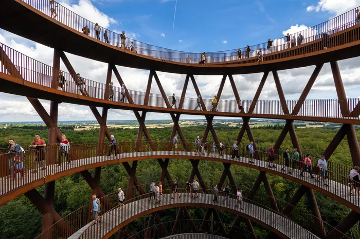 Forest Tower at Camp Adventure