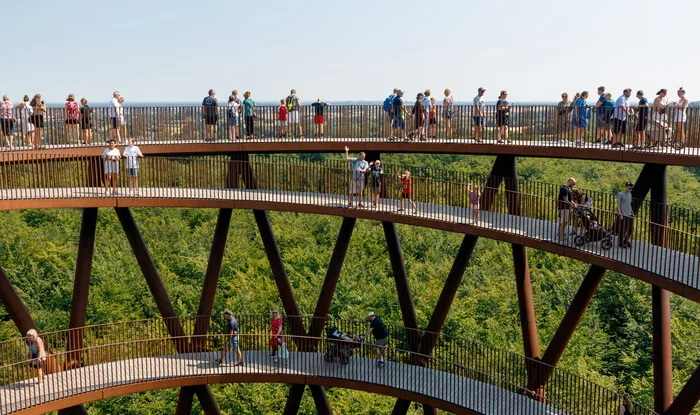 Camp Adventure Forest Tower landscape