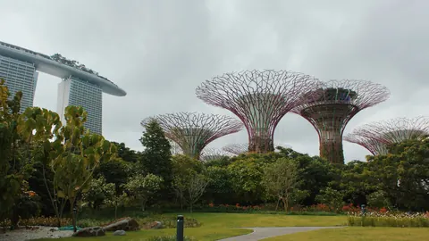 Development of Biomimetic Architecture