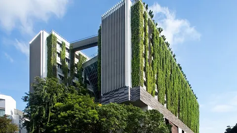 WOHA's Architectural Revolution: The Future of Urban Design