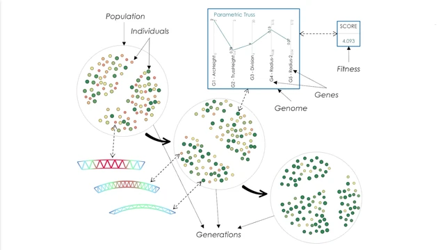 Natural Selection - Genetic Algorithms visualization