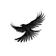 Raven logo