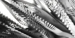 Complexity Through Repetition workshop