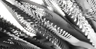 Complexity Through Repetition