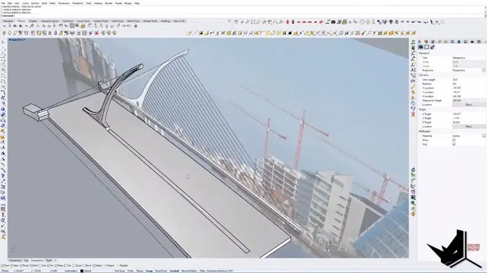 Modeling the Deck and Supports