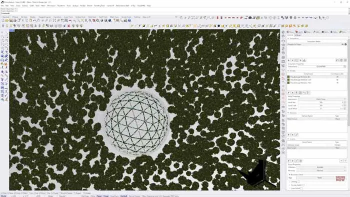 Rhino Nature in Action