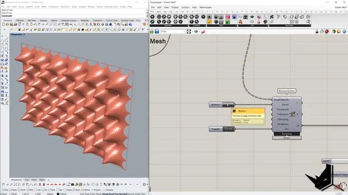 Kangaroo springs in action Kangaroo springs in action